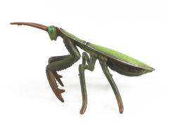 Mantis toys