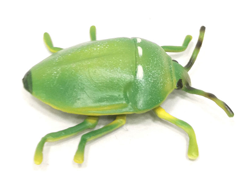 Shield Bugs toys