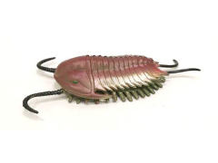 Trilobites toys