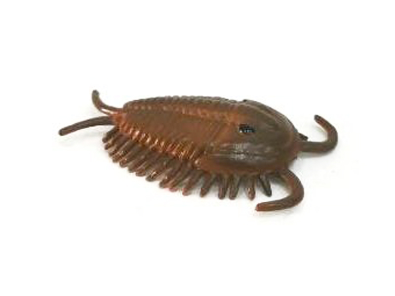 Trilobites toys