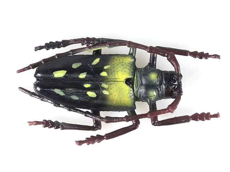 Long-horned Beetle toys