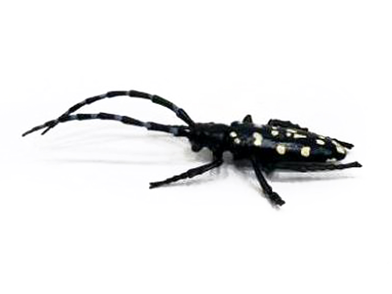 Long-horned Beetle toys