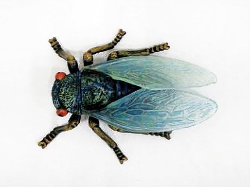 Cicada toys