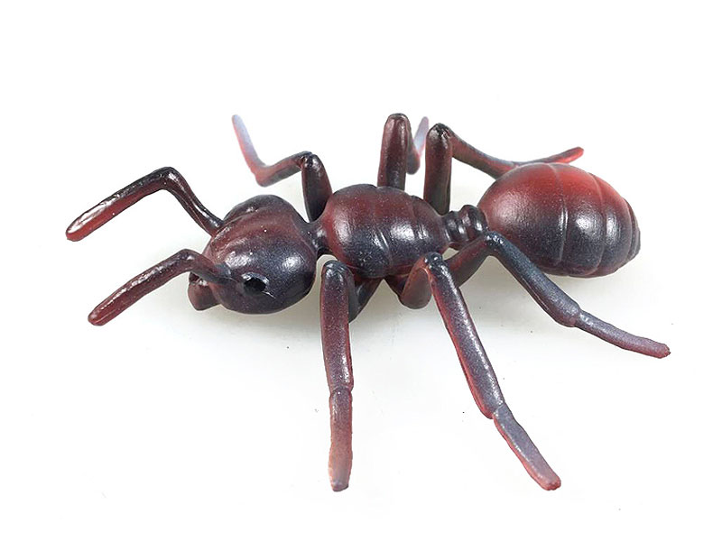 Ant toys