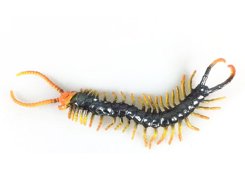 Centipede toys
