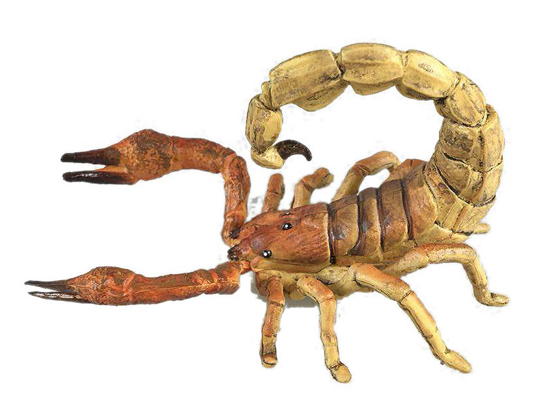 Scorpion toys