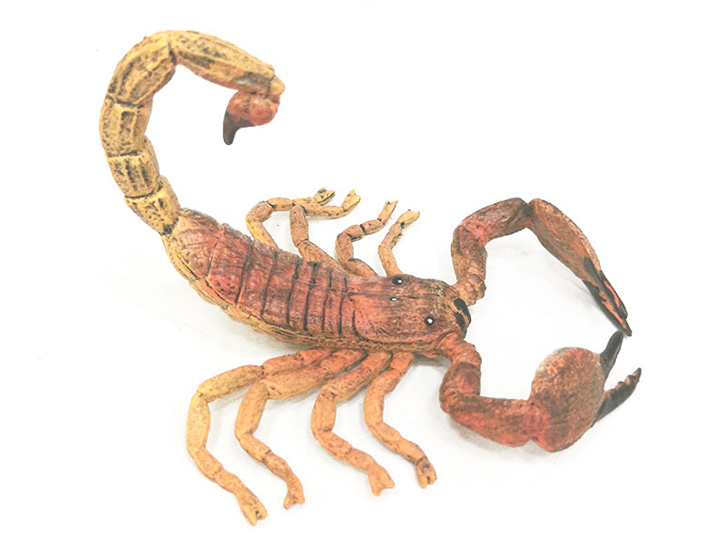 Scorpion toys