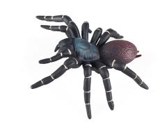 Spider toys