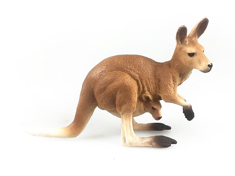 Kangaroo toys