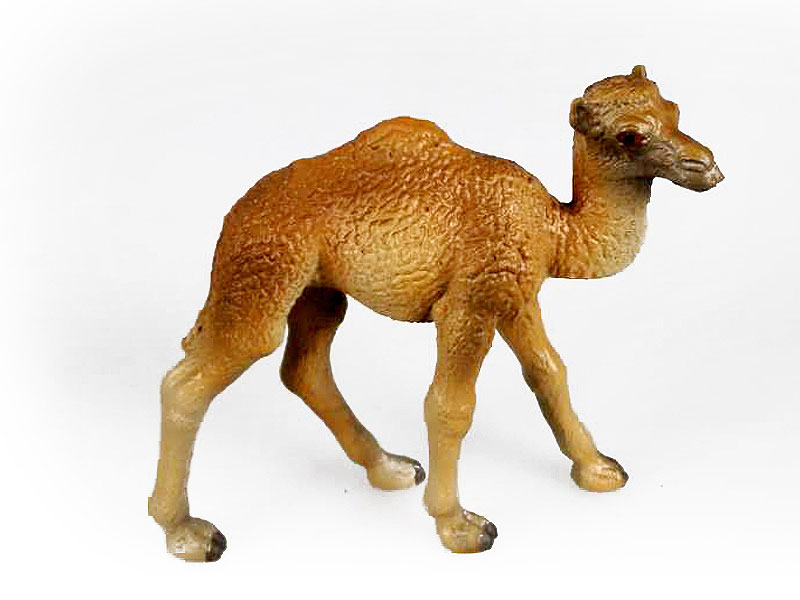 Camel toys