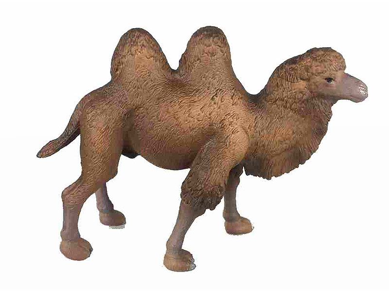 Camel toys