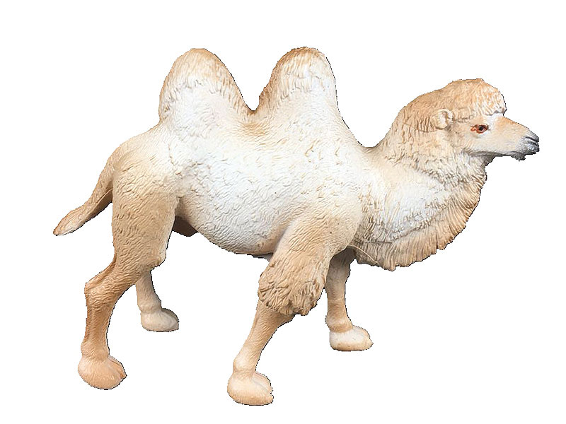 Camel toys