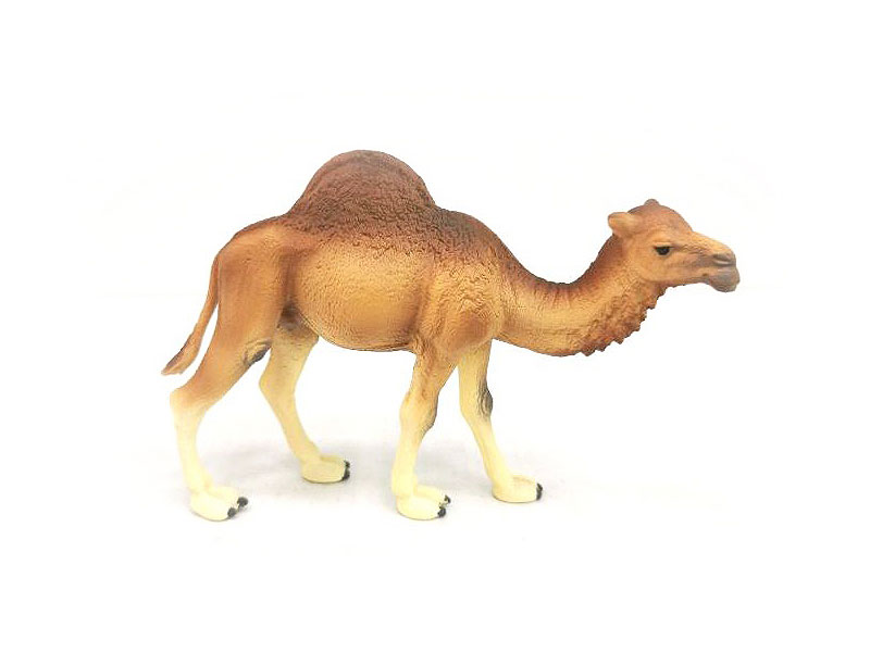 Camel toys