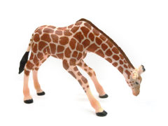 Giraffe toys