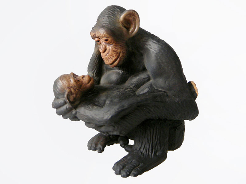 Chimpanzee toys