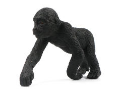 Chimpanzee toys