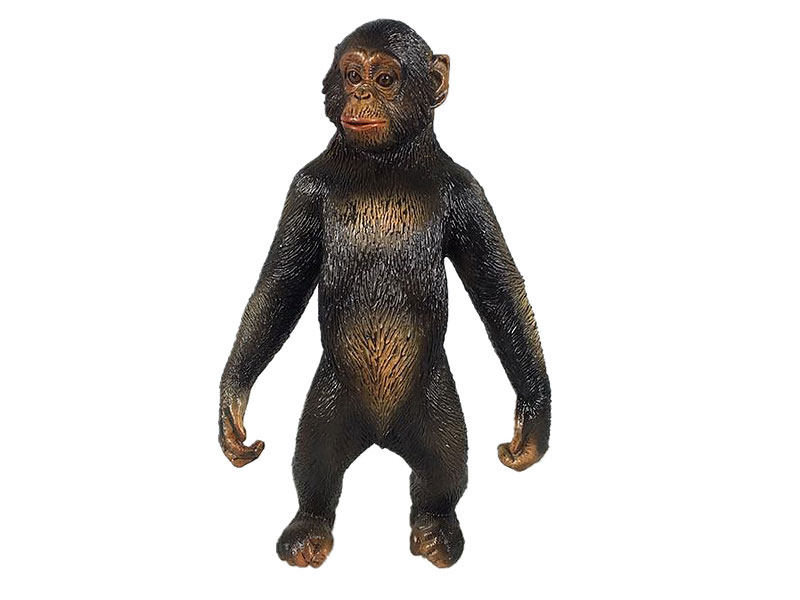 Chimpanzee toys