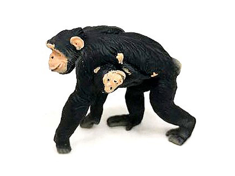 Chimpanzee toys