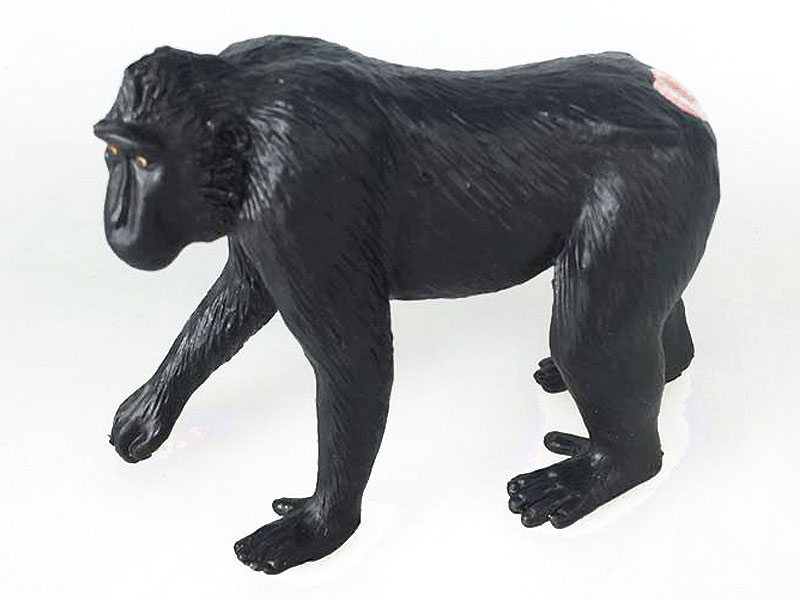 Crested black Macaque toys