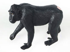 Crested black Macaque toys