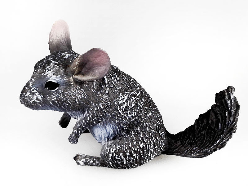 Chinchilla toys