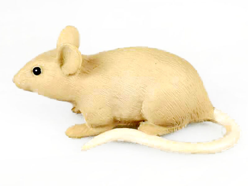 Mouse toys