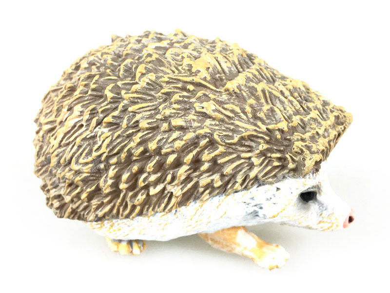 Hedgehog toys