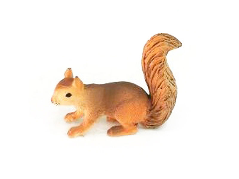 Squirrel toys