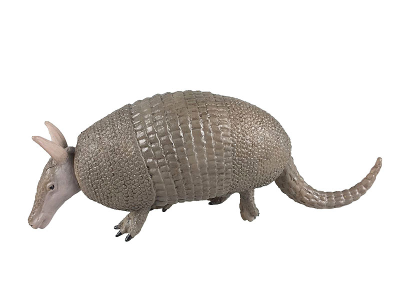 Armadillo toys