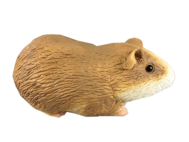 Guinea Pig toys