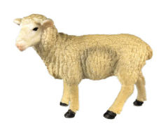 Sheep toys