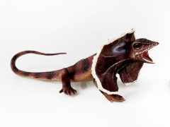 Frilled Lizard toys