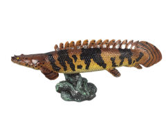 Polypterus delhezi toys