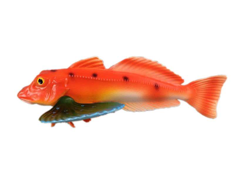 Greenfin fish toys