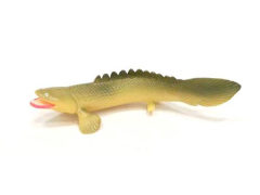 Polypterus Bichir Lapradei toys