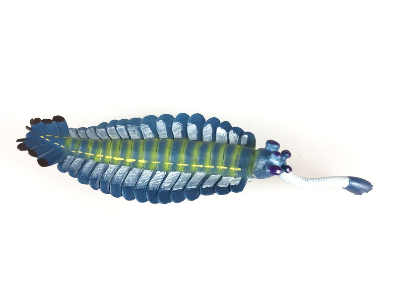 Opabinia Regalis Walcott toys