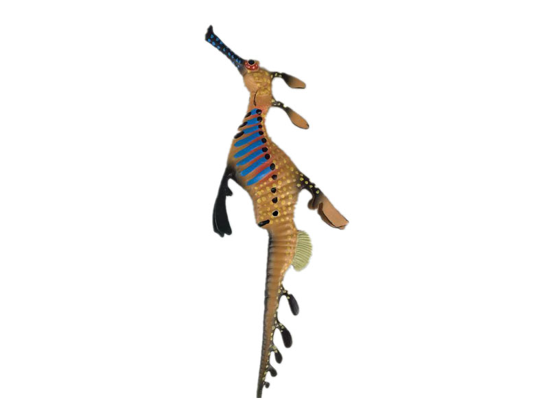 Weedy Seadragon toys