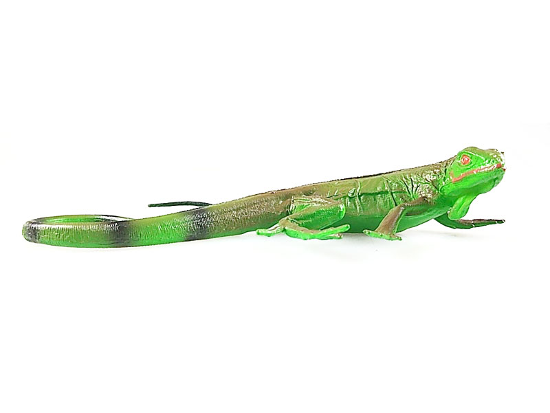 Lizard toys