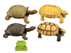 Tortoise(12in1)