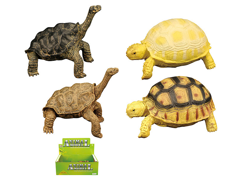 Tortoise(12in1) toys