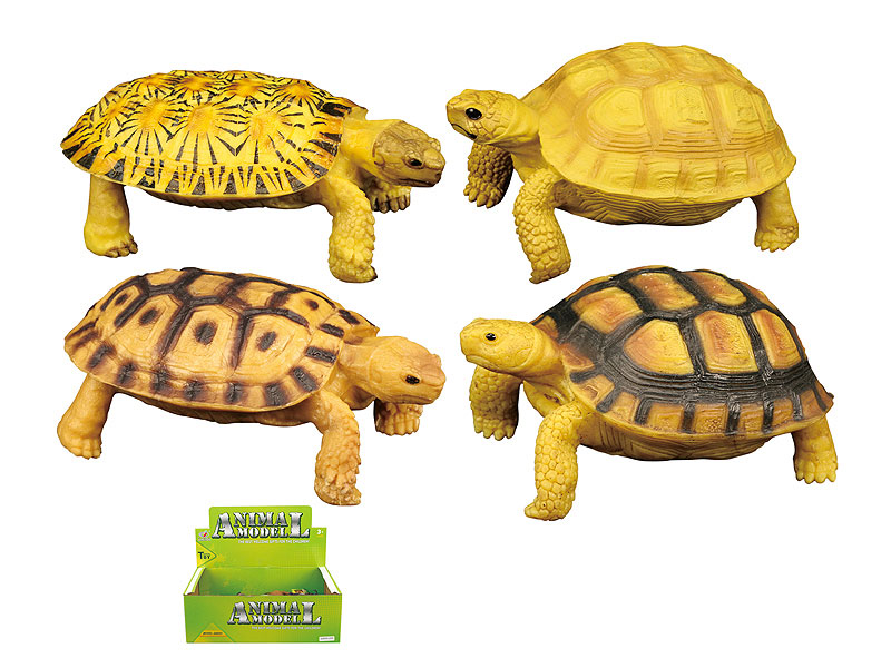 Tortoise(12in1) toys