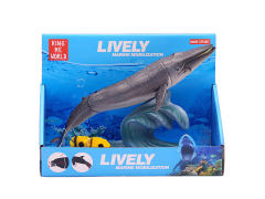 Blue Whale toys