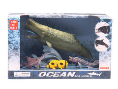 Ocean Animal