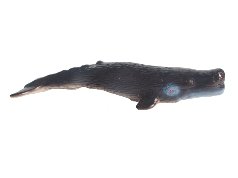 Small Sperm Whale toys
