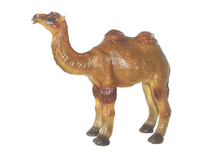 Camel toys