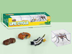 Mosquito Life Cycle toys