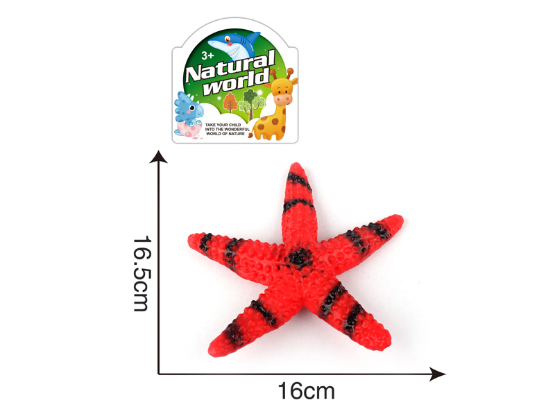 Starfish toys