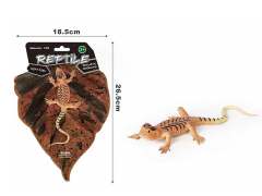 Skink Lizard toys