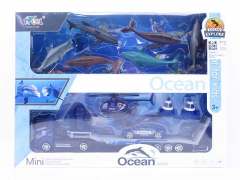 Ocean Animal Set(6in1)