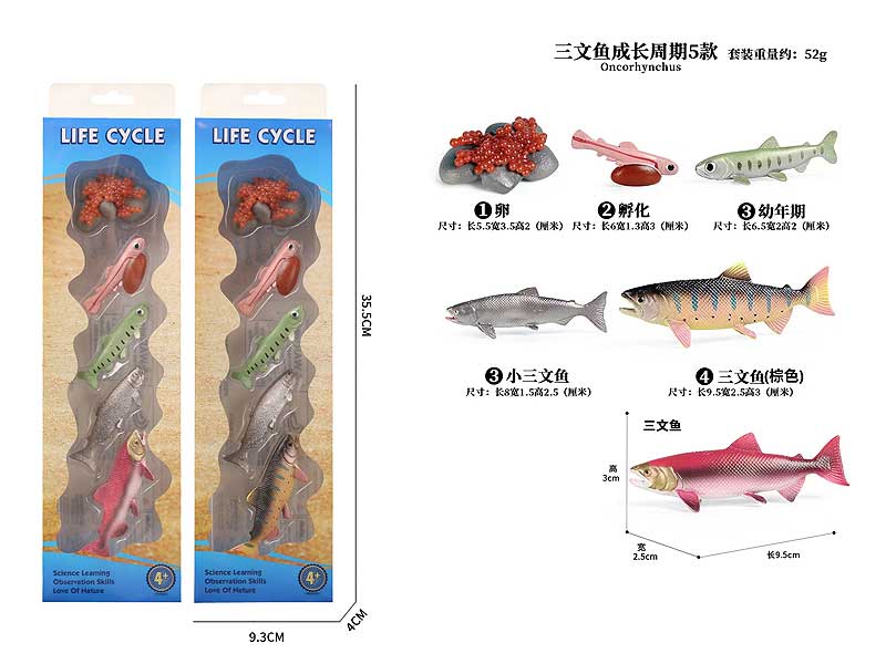 Salmon Growth Cycle(2C) toys